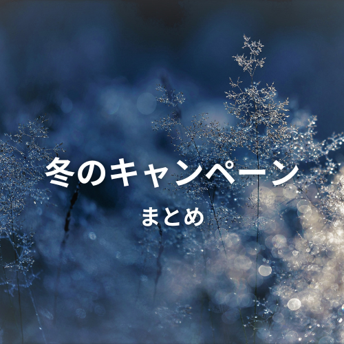 冬のキャンペーン